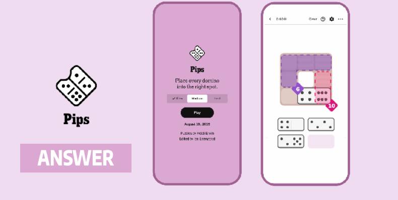 NYT Pips Hint and answer